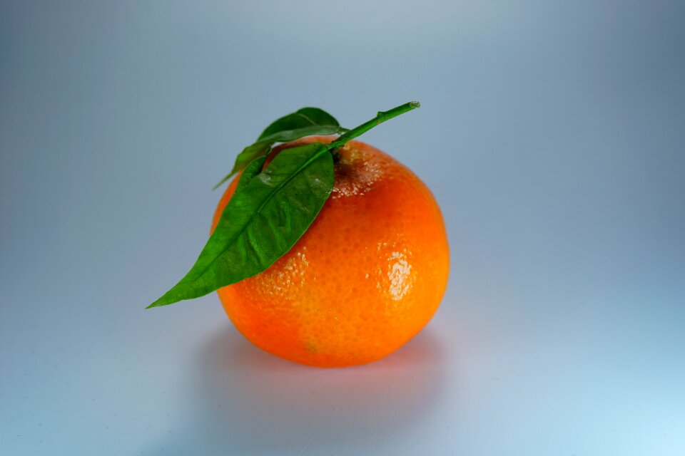 Citrus fruit fruits leaves