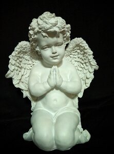 Baby wings black angel photo