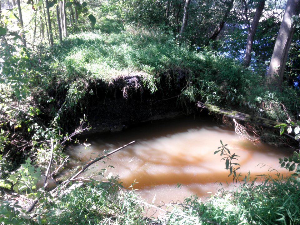 Hurricane Damage at Wallkill River National Wildlife Refuge August 30, 2011