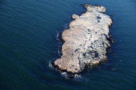 Small Island at Stewart B. McKinney National Wildlife Refuge (CT)
