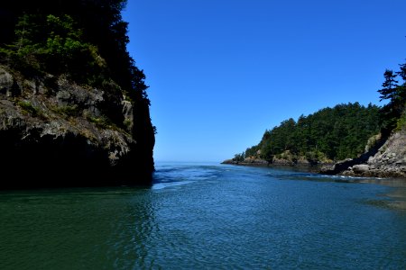DSC 0991