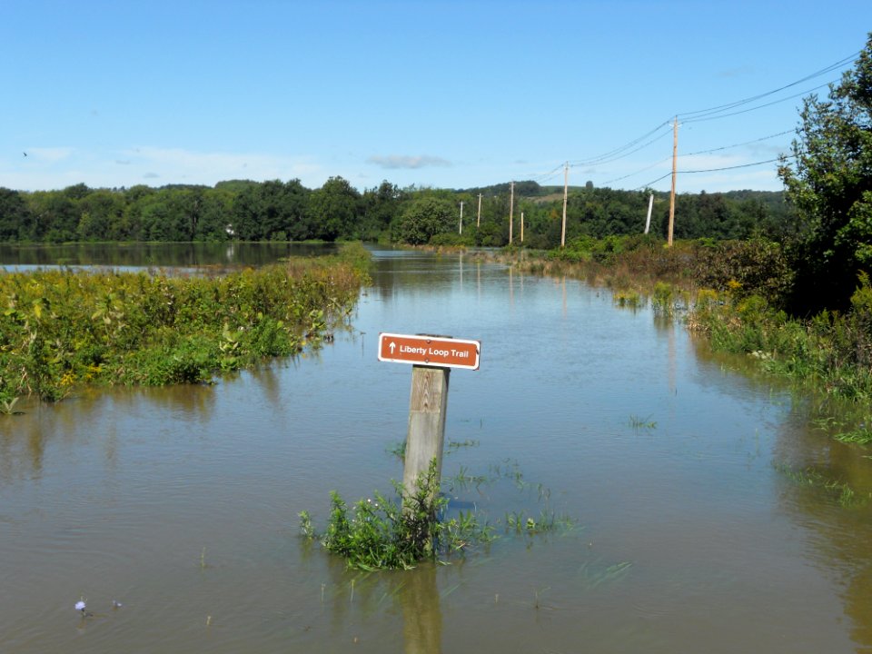 Flooding at WallKill River Refuge