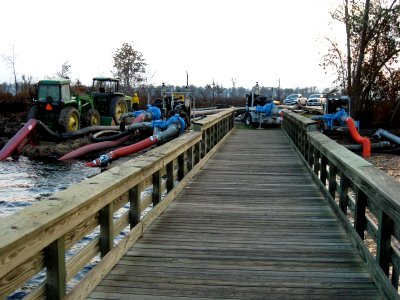 Boardwalk to pumps