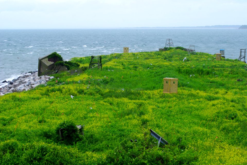 Great Gull Island, NY