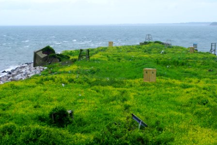 Great Gull Island, NY