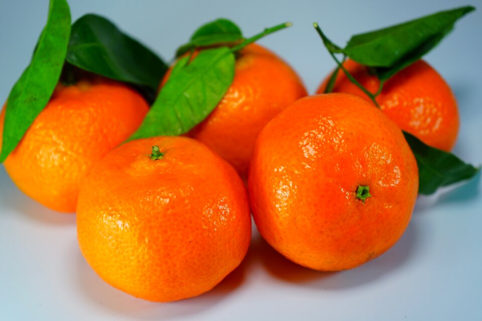 Citrus fruit orange fruits
