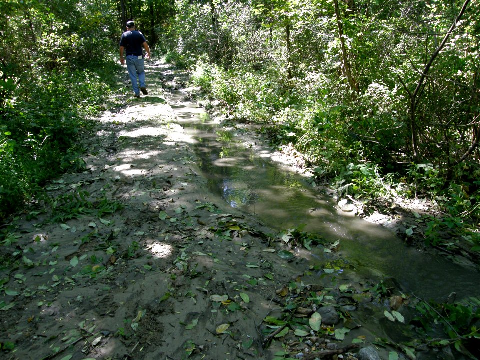 Hurricane Damage at Wallkill River National Wildlife Refuge August 30, 2011