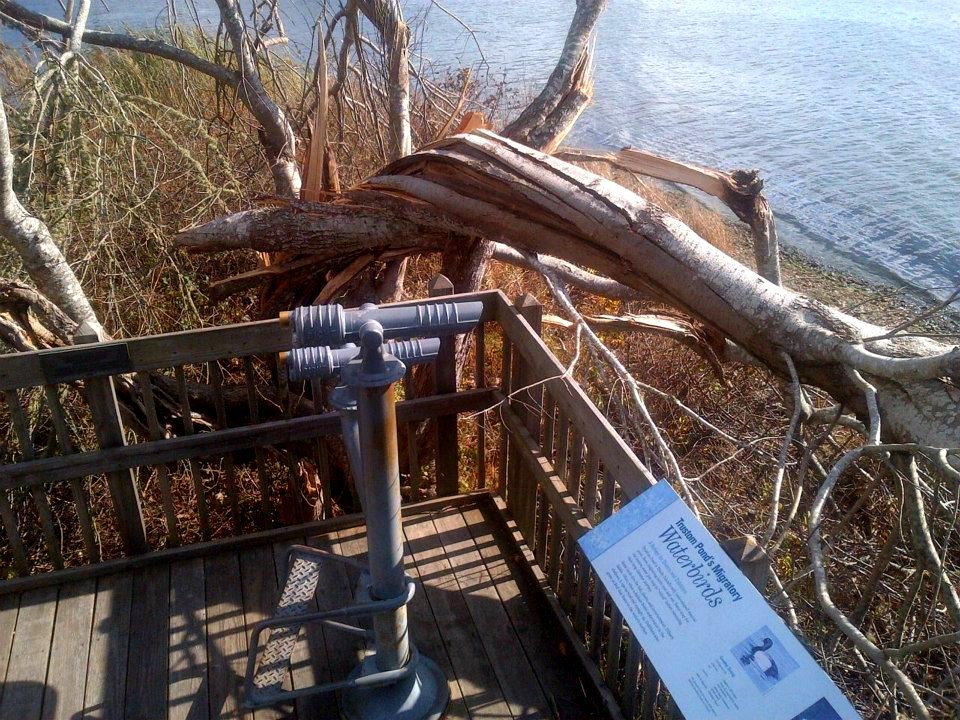 Otter Point Platform at Trustom Pond National Wildlife Refuge (RI)