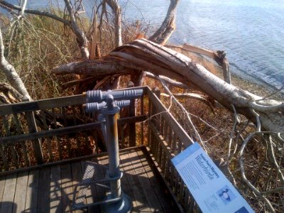 Otter Point Platform at Trustom Pond National Wildlife Refuge (RI)
