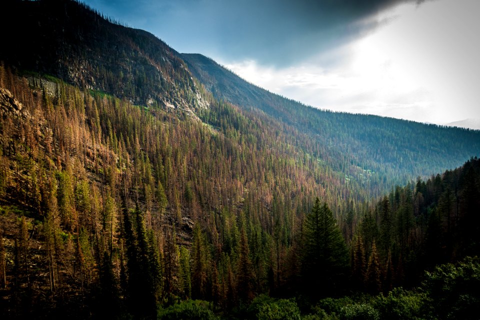 Mosaic Burn near Sperry Chalet