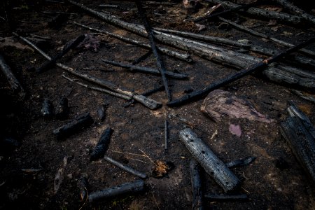 Sprague Fire 2017