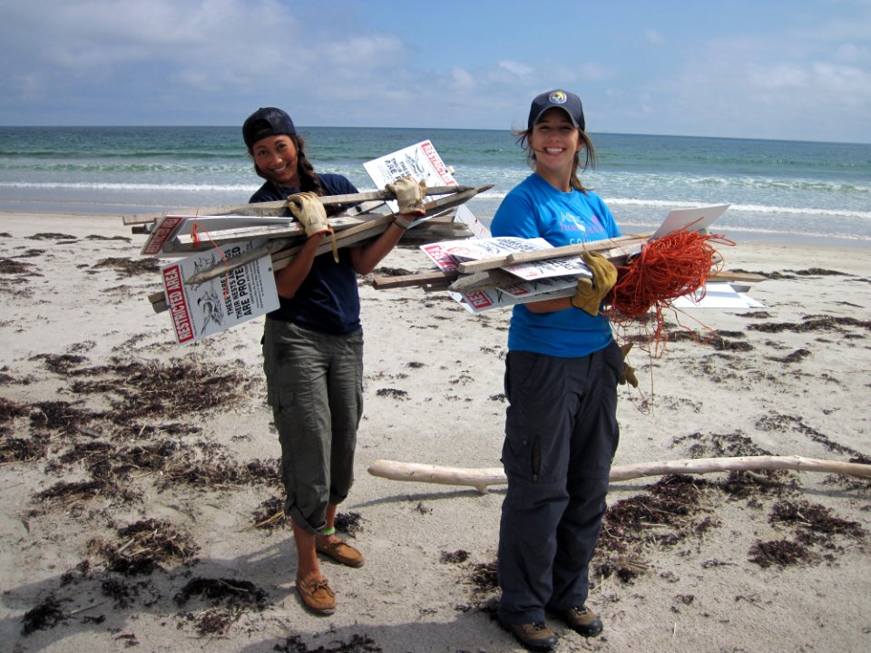 Protecting Piping Plovers