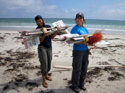 Protecting Piping Plovers photo