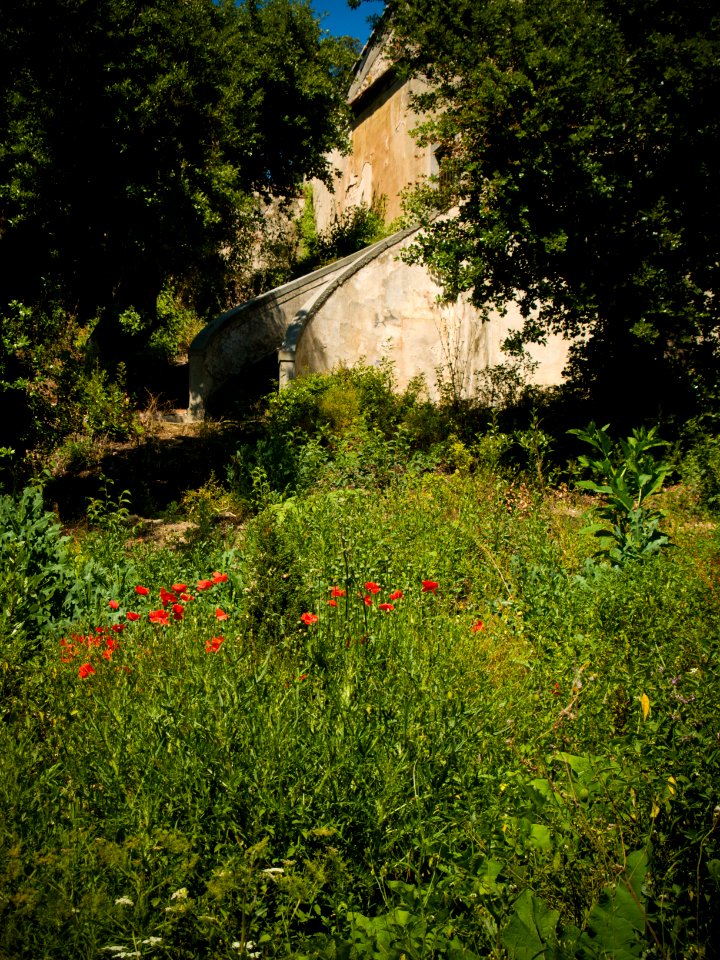 sanctuary