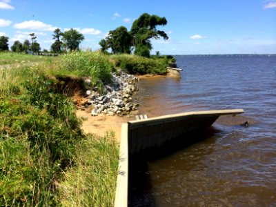 Damaged Bulkhead