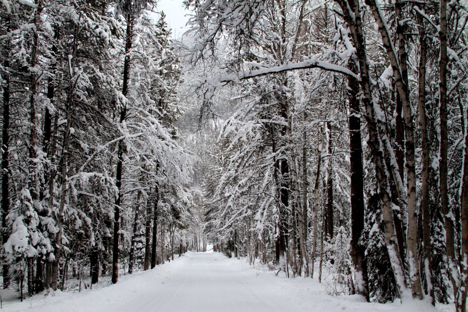 Winter Wonderland in Apgar Village
