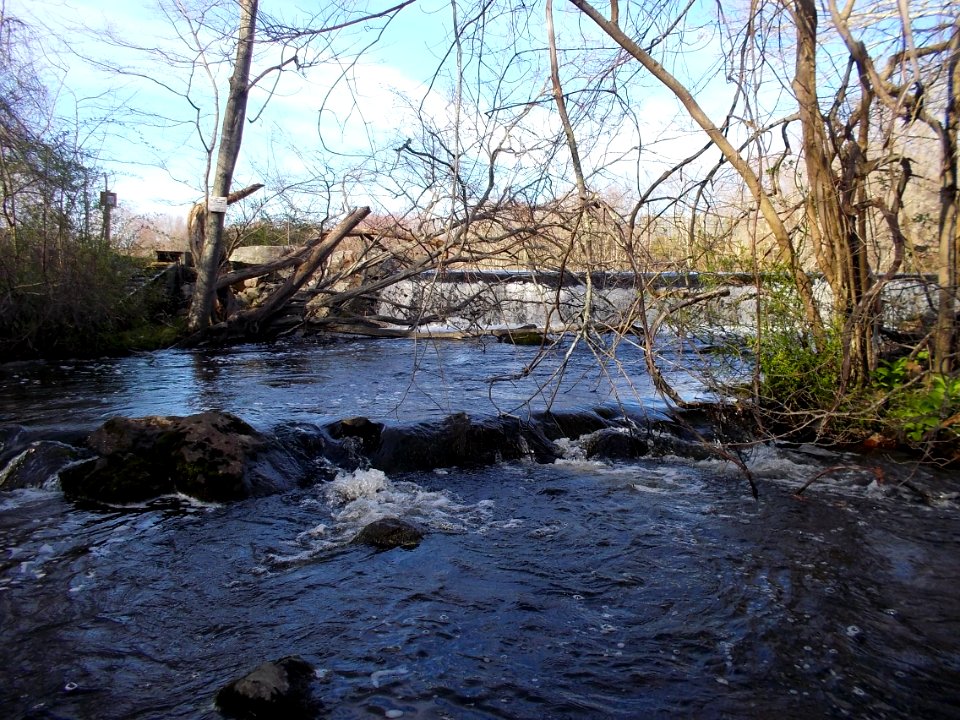 Hyde Pond Dam - looking towards dam from downstream