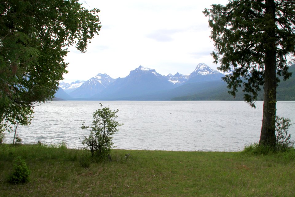 Ryan Beach-Meadow, Lake McDonald - 1 [Near the West Entrance to the park.]