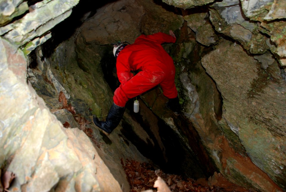 Placing bait used to survey for Madison Cave isopods