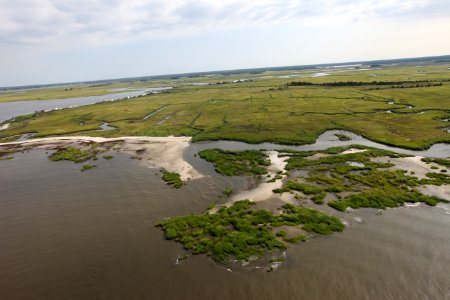 Eroded Shoreline at Gandy's Beach