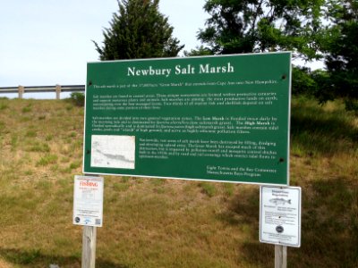 Newbury Salt Marsh