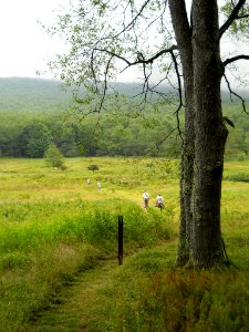 Canaan Valley Trail photo