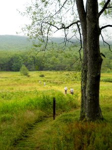Canaan Valley Trail