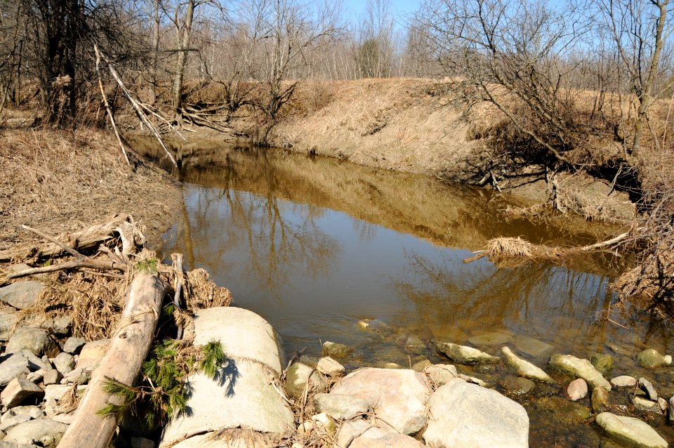 Little Sucker Brook: Assessing fish passage barrier