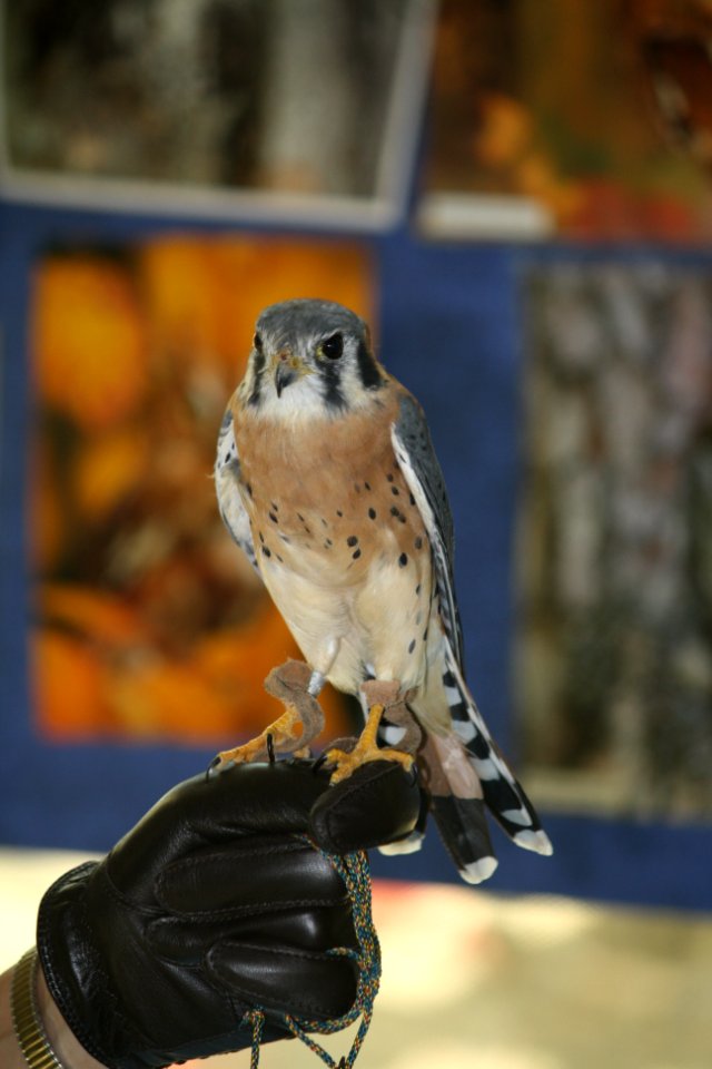Patuxent Research Refuge 75th Anniversary