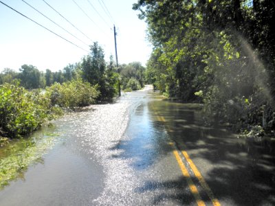 Hurricane Damage at Wallkill River National Wildlife Refuge August 30, 2011