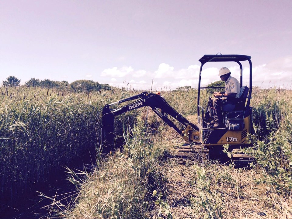 Sachuest Point National Wildlife Refuge - Maidford Marsh Runnel Excavation