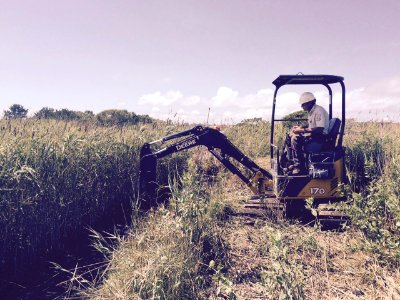 Sachuest Point National Wildlife Refuge - Maidford Marsh Runnel Excavation