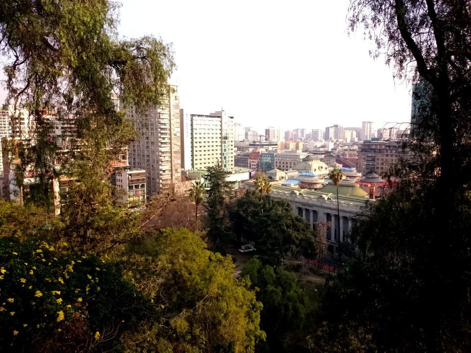 DSC 0242