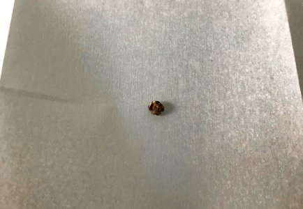 IMG 1629