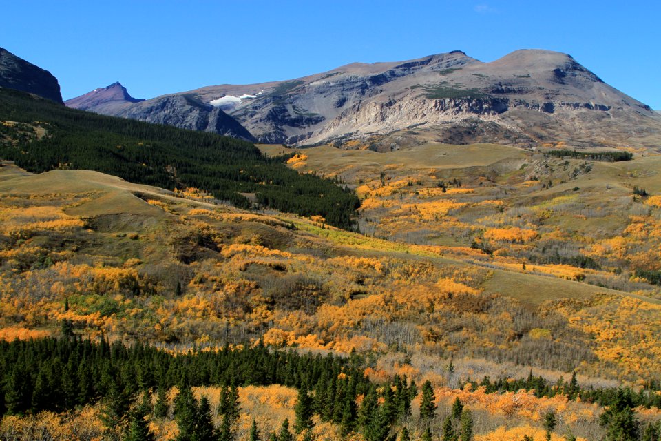 Looking in to Glacier National Park from Hwy 49