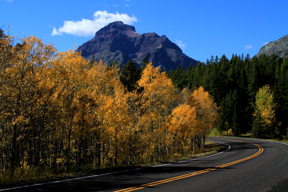 Road to Two Medicine