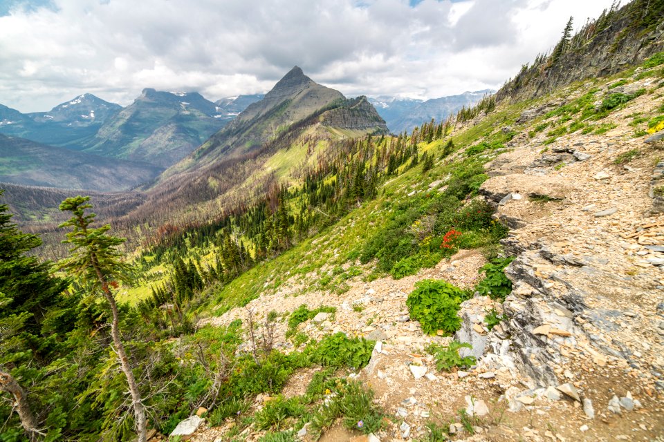 Cutbank Pass and Tinkham Mountain