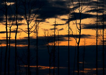 Burnset