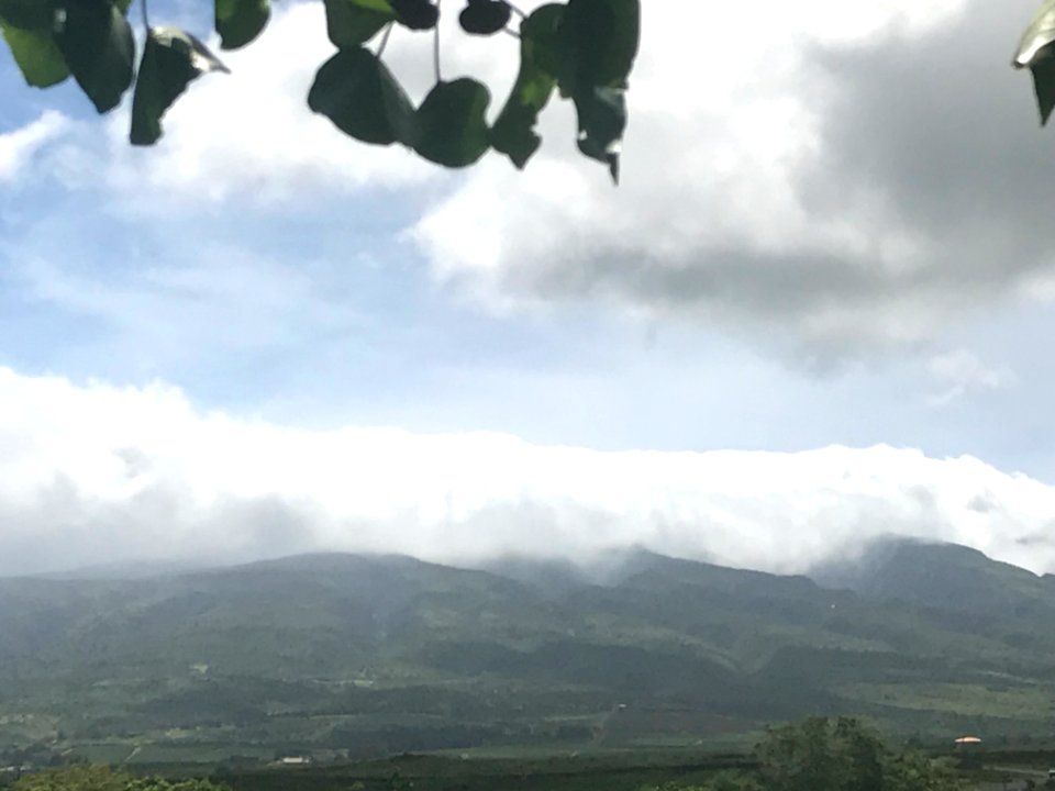 IMG 0123(1)