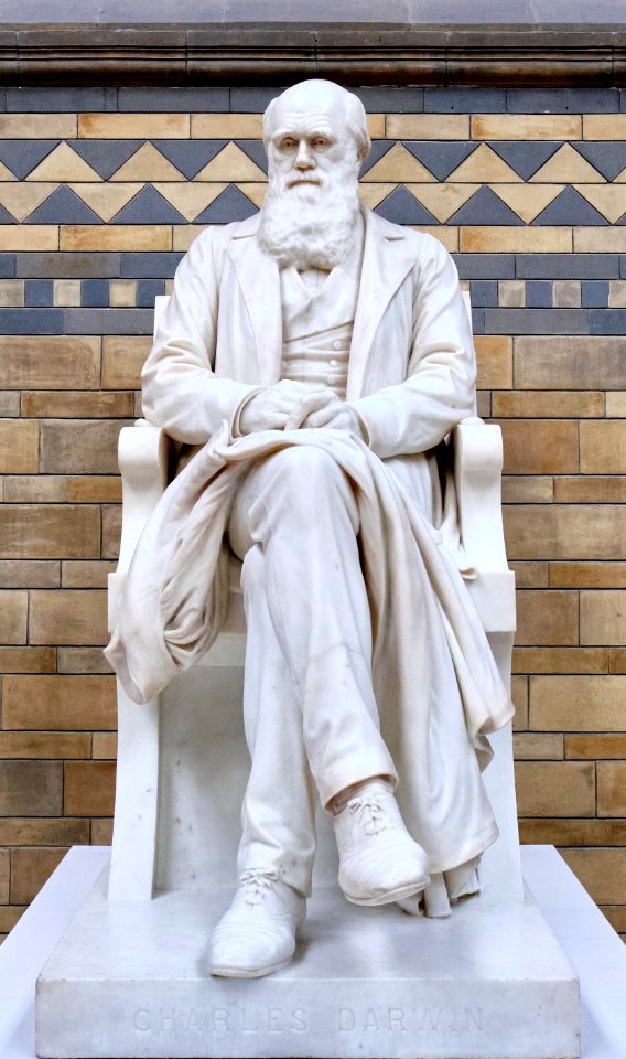 Charles Darwin en el Natural History Museum (Londres)
