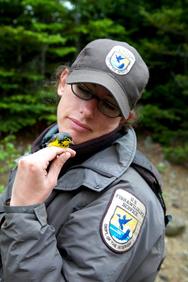USFWS Biologist