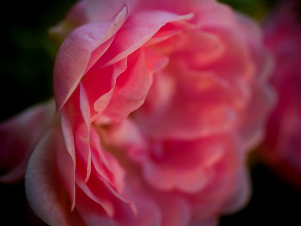 20070520-38