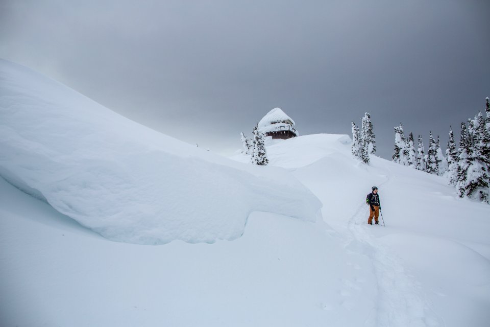 Snow Shoes to Mount Brown Lookout
