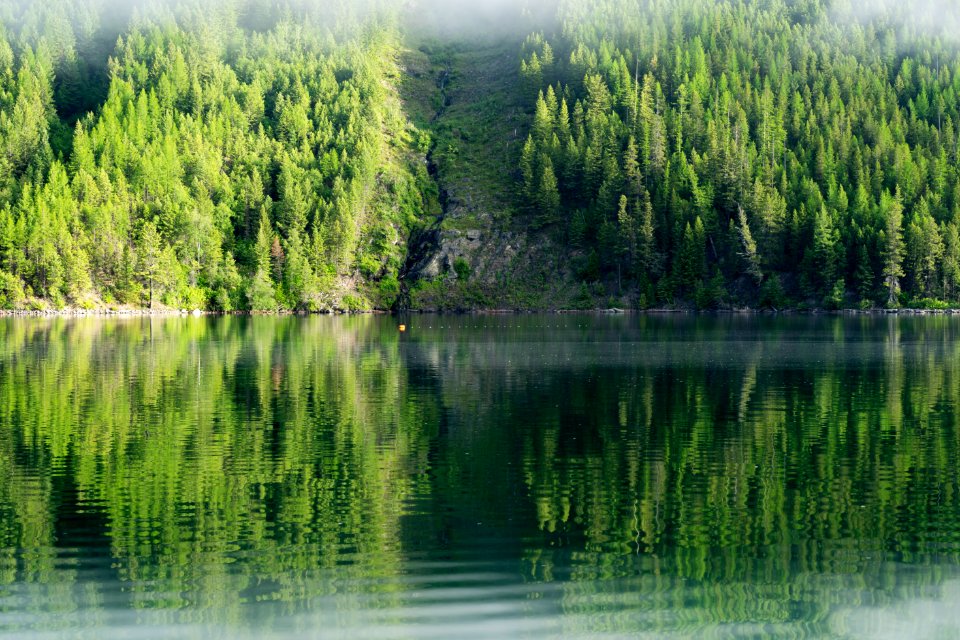 Avalance Chute Quartz Lake