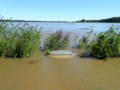 Hurricane Damage at Wallkill River National Wildlife Refuge August 30, 2011
