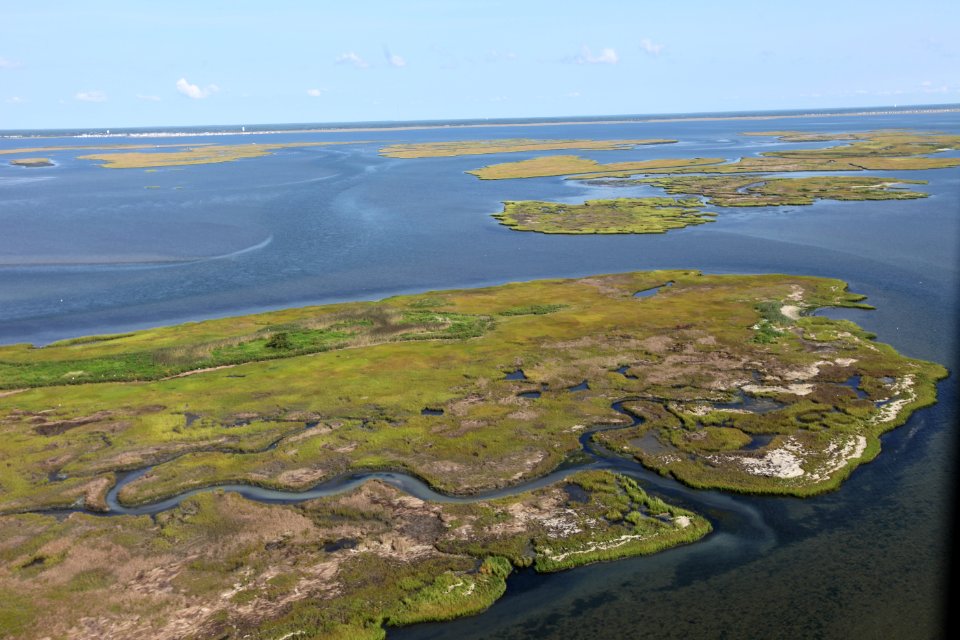 Islands at Edwin B. Forsythe National Wildlife Refuge