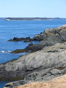 Maine Coastal Islands NWR photo