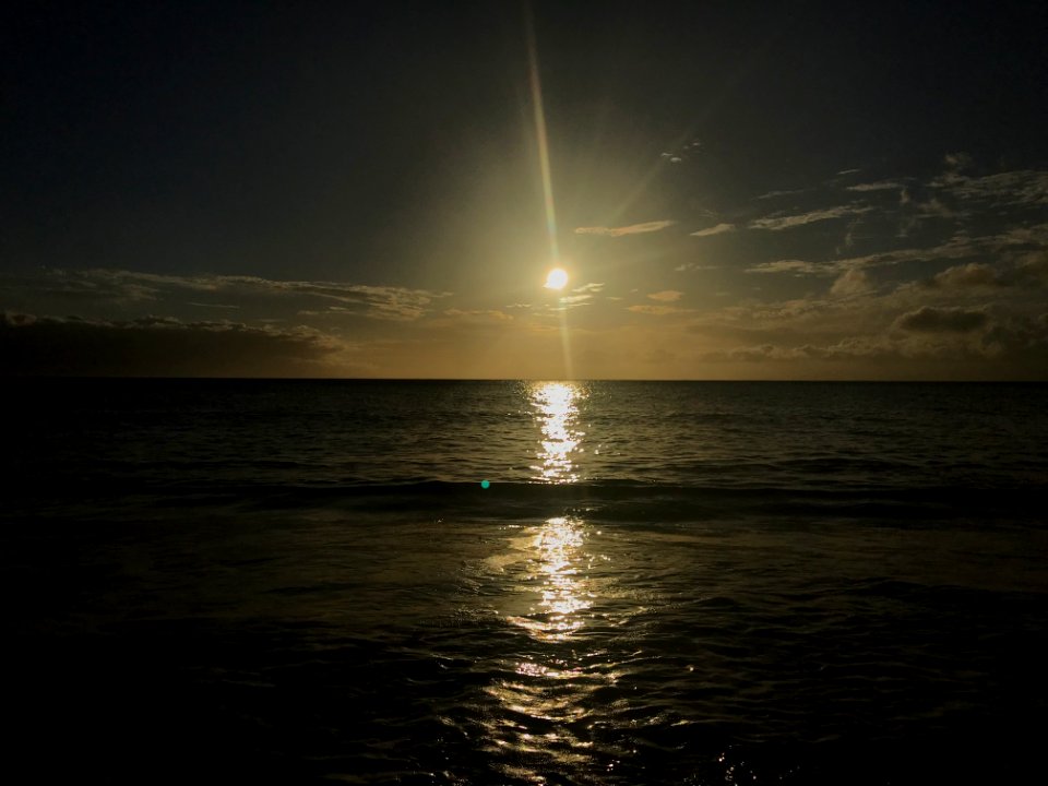IMG 0093(1)