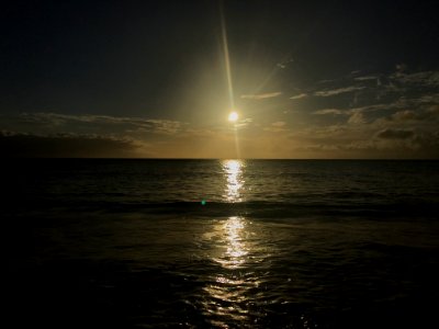 IMG 0093(1)