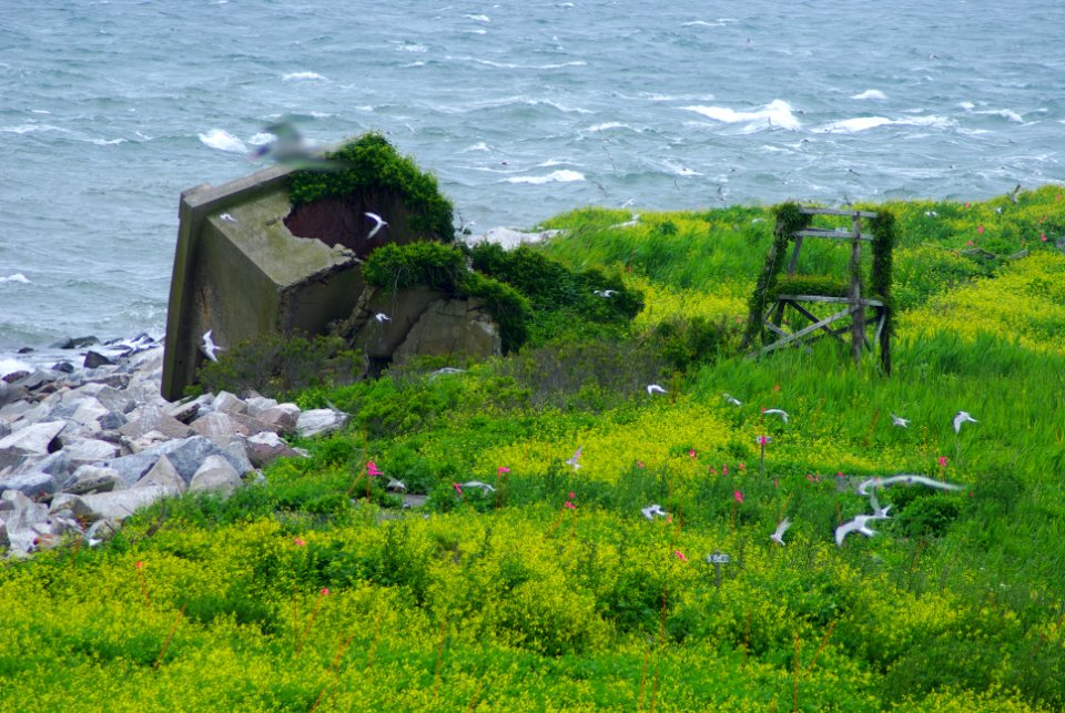 Great Gull Island, NY